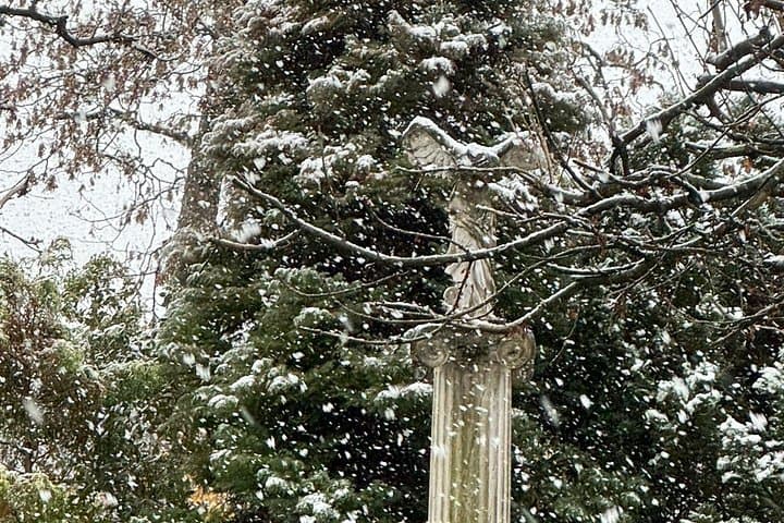 2.5 Hour Walking Tour of Père Lachaise Cemetery from Paris — photo 18
