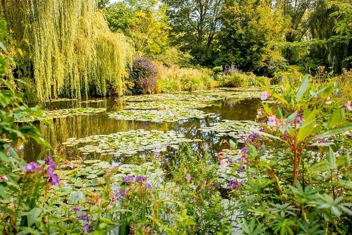 Giverny from Paris: Small Group Visit to Monet's House & Gardens — photo 1