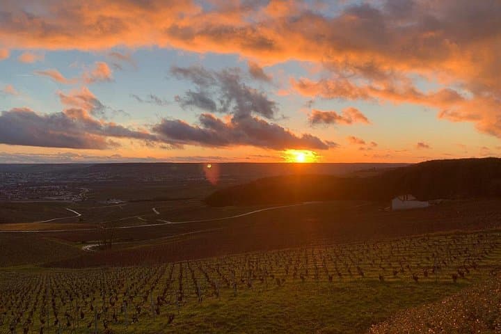 Champagne Day Trip from Paris with 4 Tastings, Reims & Cellars — photo 16