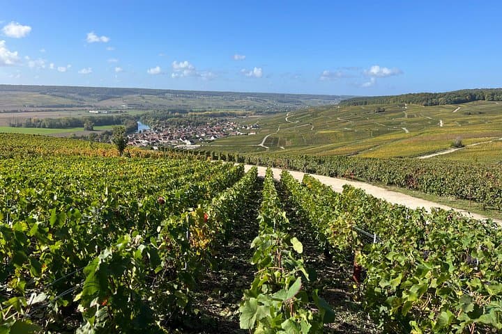 Family Estates Champagne Tour from Paris : 10 Tastings & Lunch — photo 7
