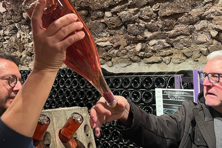Family Estates Champagne Tour from Paris : 10 Tastings & Lunch — photo 12