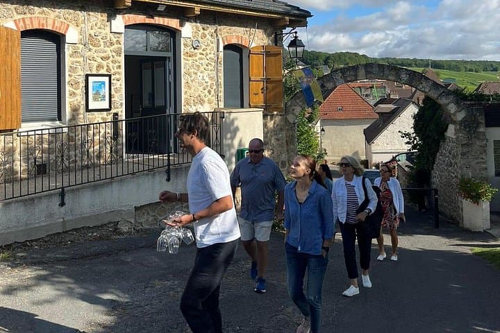 Family Estates Champagne Tour from Paris : 10 Tastings & Lunch — photo 2