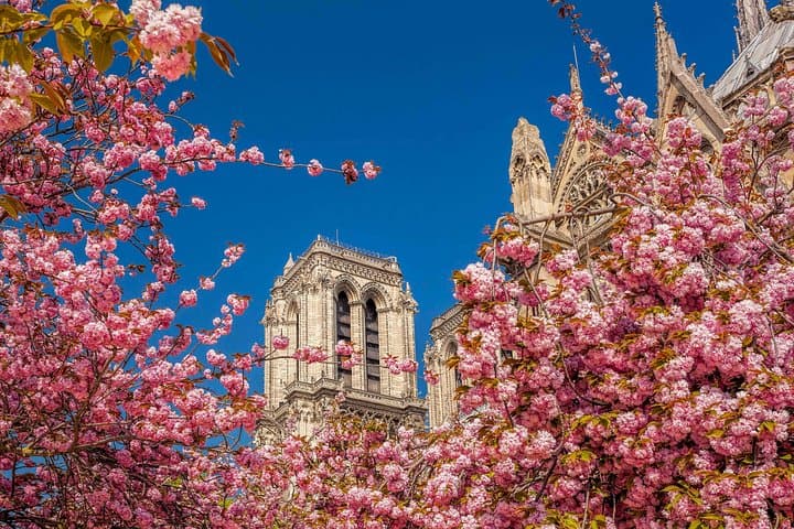 Paris Big Walking Tour with Audioguide on Your Smartphone — photo 14