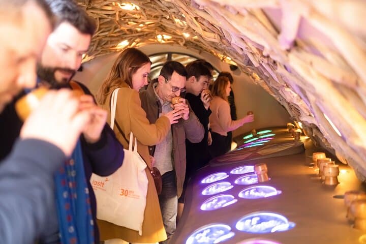 Paris The French Wine Experience at les Caves du Louvre — photo 3