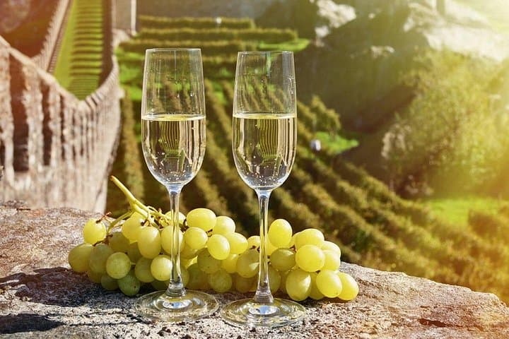 Private Wine and Champagne Tour from Paris — photo 4