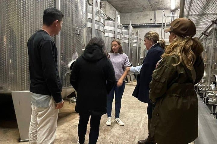 Family Estates Champagne Tour from Paris : 10 Tastings & Lunch — photo 10