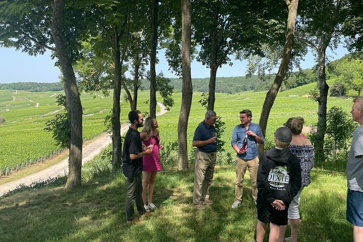 Family Estates Champagne Tour from Paris : 10 Tastings & Lunch — photo 4