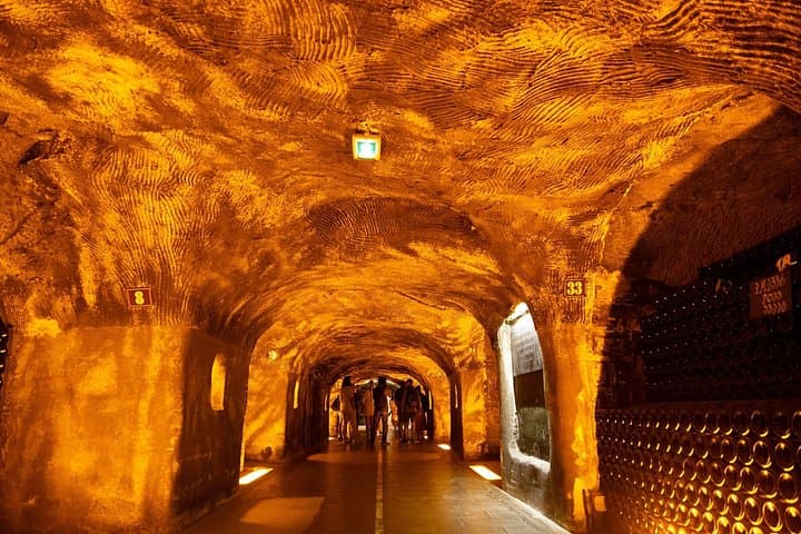 Family Estates Champagne Tour from Paris : 10 Tastings & Lunch — photo 6