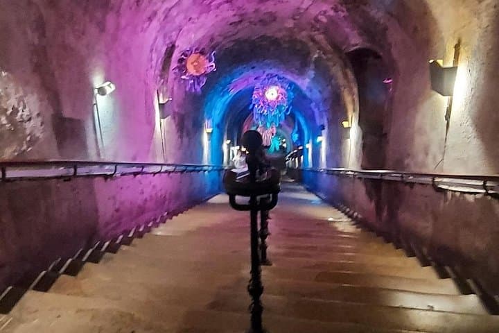 From Paris: Champagne Cellars and Vineyards Tour and Tasting — photo 17
