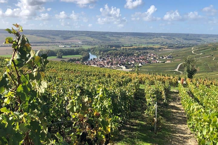 Chablis-Burgundy Wine Day from Paris with 8 Tastings & Lunch — photo 7