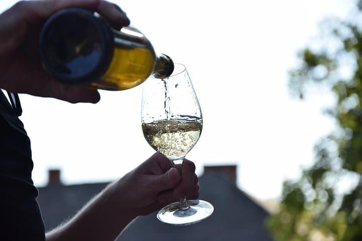 Chablis-Burgundy Wine Day from Paris with 8 Tastings & Lunch — photo 10