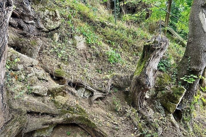 Auvers-sur-Oise: Van Gogh Self guided walking tour with an APP — photo 10