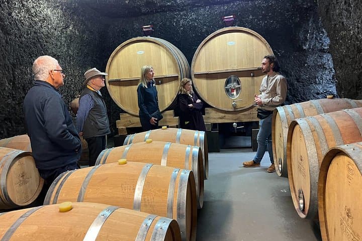 Loire Valley Wine & Castle Tour from Paris With Tasting & Pickup — photo 4