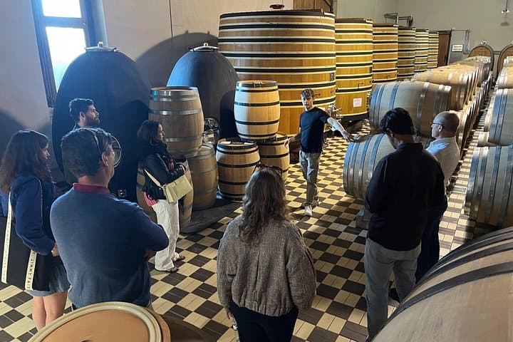 Chablis-Burgundy Wine Day from Paris with 8 Tastings & Lunch — photo 15