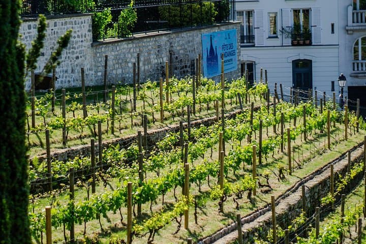 Clos Montmartre Paris in your Glass Wine Tasting — photo 7