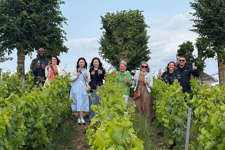 Paris: Champagne Day Trip with Tastings, Cathedral & Pickup — photo 5