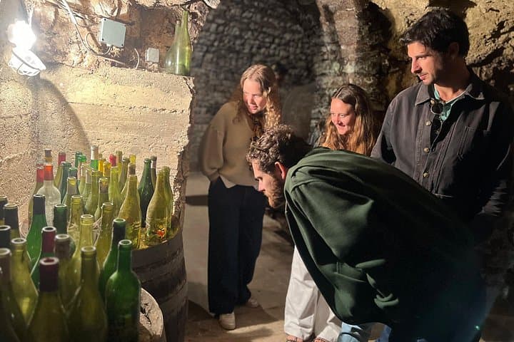 Chablis-Burgundy Wine Day from Paris with 8 Tastings & Lunch — photo 11