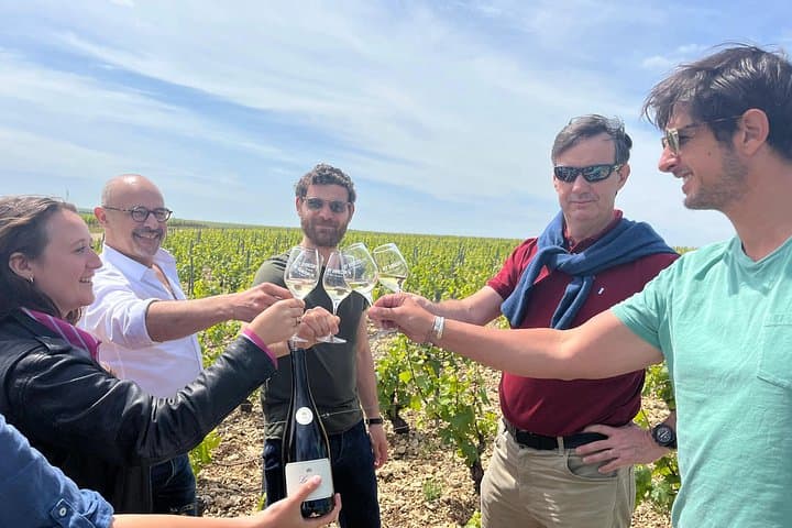 Chablis-Burgundy Wine Day from Paris with 8 Tastings & Lunch — photo 1