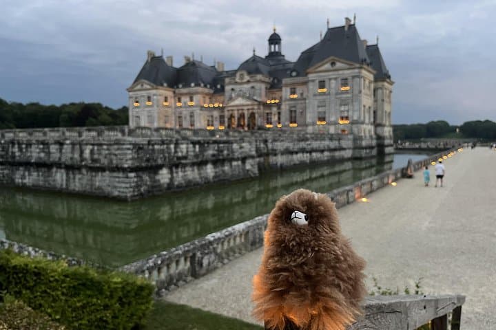 Private Vaux-le-Vicomte Candlelight Half-Day Escape from Paris — photo 5