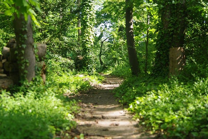 "Roots" the path of the last painting — photo 2