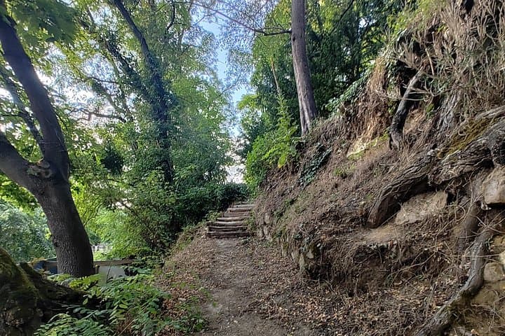 "Roots" the path of the last painting — photo 5