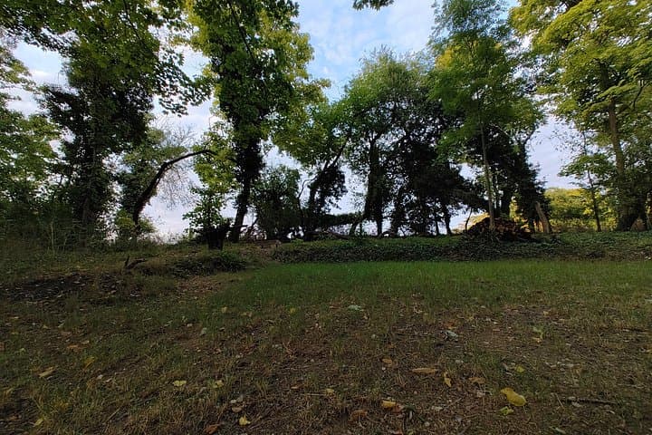 "Roots" the path of the last painting — photo 9