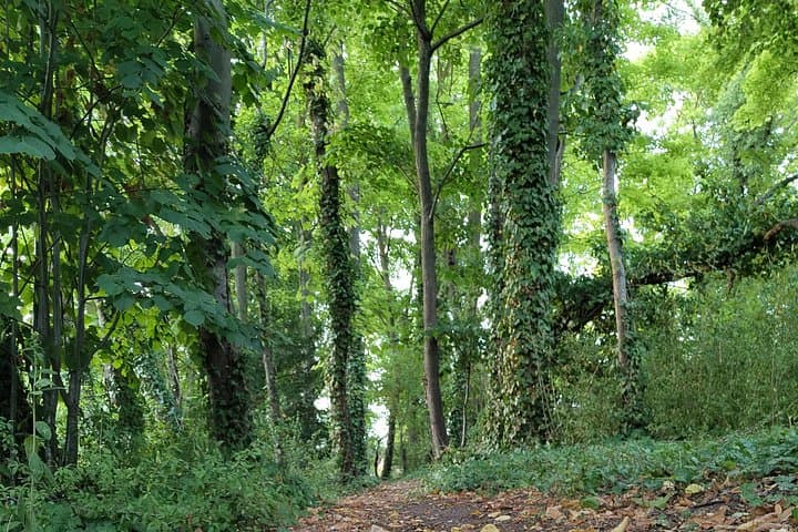 "Roots" the path of the last painting — photo 10