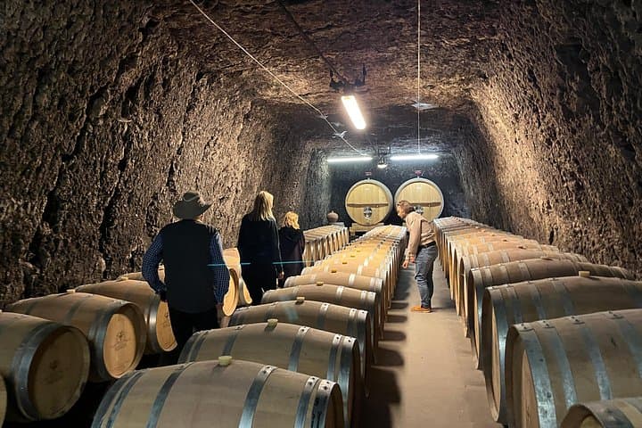 Loire Valley Castles Day Trip from Paris & Tasting with Pickup — photo 10