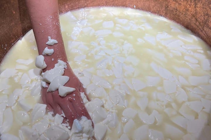 Guided visit of the Cheese Museum with Tasting Included — photo 8