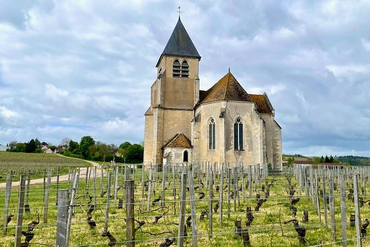 7 day Paris Must-Do Burgundy Champagne Culture Wine Small Group15 — photo 17