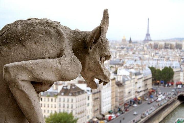 Notre-Dame Exclusive Private Guided Tour — photo 6