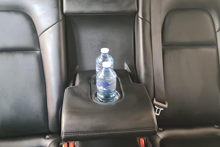 Private Airport Transfer Paris → CDG | Electric One-Way — photo 6