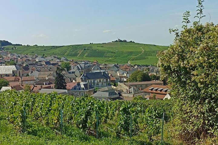 Champagne Day Trip from Paris with 7 Tastings Prestigious Houses — photo 11