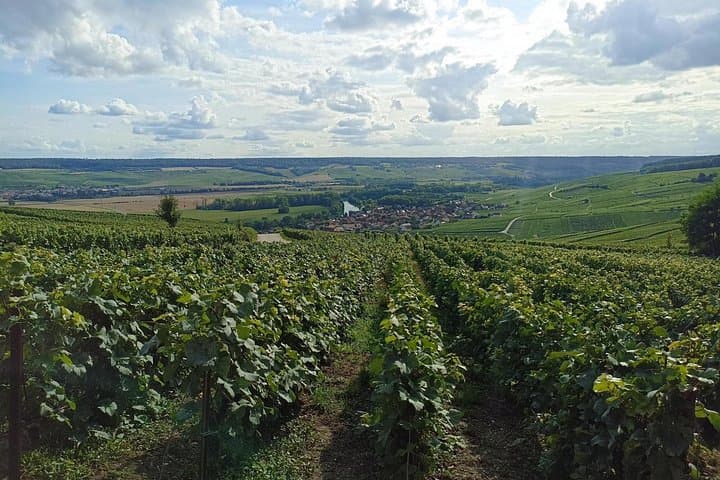 Champagne Day Trip from Paris with 7 Tastings Prestigious Houses — photo 19