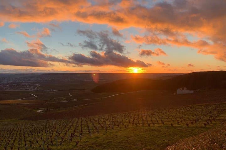 Champagne Day Trip from Paris with 7 Tastings Prestigious Houses — photo 10