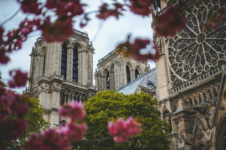 Paris Private Car Service with Professional Driver — photo 4