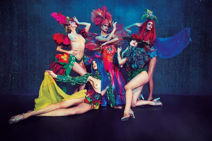 Paris Paradis Latin Cabaret Show with Champagne — photo 16