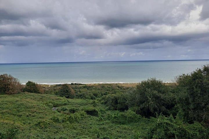 Paris: Normandy D-Day Landing Beaches Private Tour with Champagne — photo 13