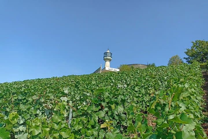 Private Champagne Day Trip from Paris with 7 Tastings & Lunch — photo 9