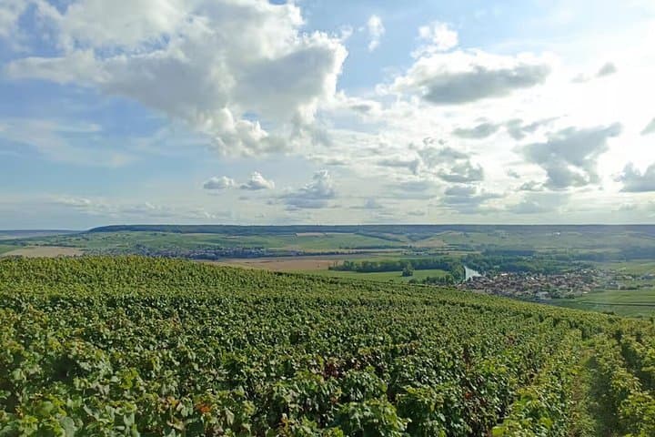 Private Champagne Day Trip from Paris with 7 Tastings & Lunch — photo 6