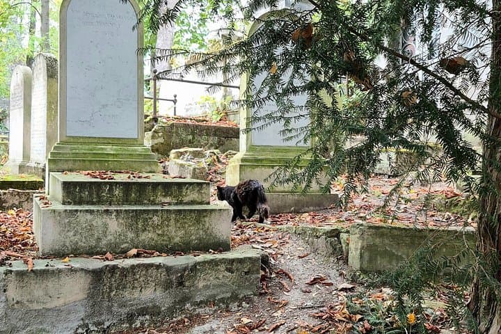 Father-Lachaise stories and mysteries told by an actor — photo 8