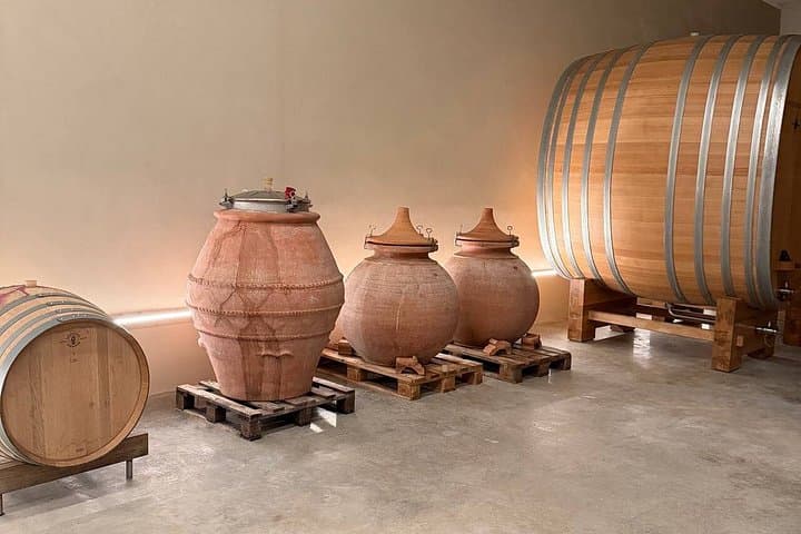Champagne Moët & Chandon and Larmandier-Bernier Private Day Tour — photo 9