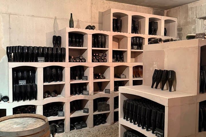 Champagne Moët & Chandon and Larmandier-Bernier Private Day Tour — photo 14
