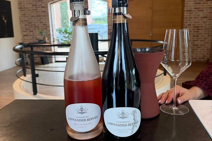 Champagne Moët & Chandon and Larmandier-Bernier Private Day Tour — photo 18