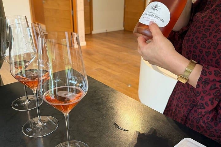 Champagne Moët & Chandon and Larmandier-Bernier Private Day Tour — photo 19