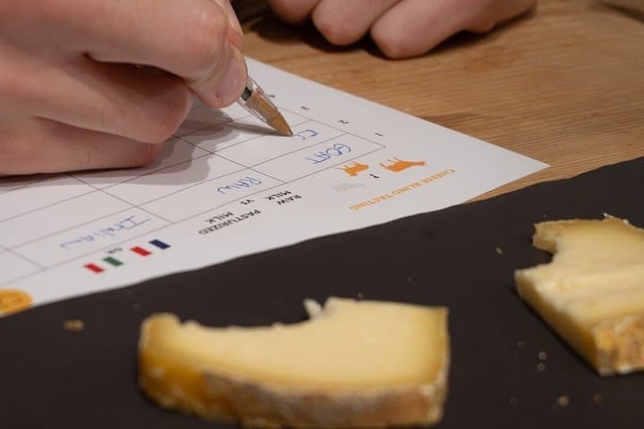 Blind tasting of 6 cheeses from the Niçois region