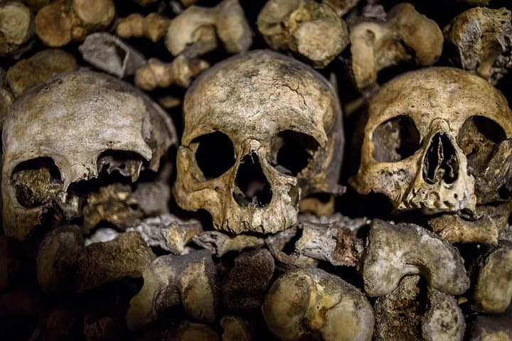 Paris Catacombs Tour with VIP Access to Restricted Areas — photo 15