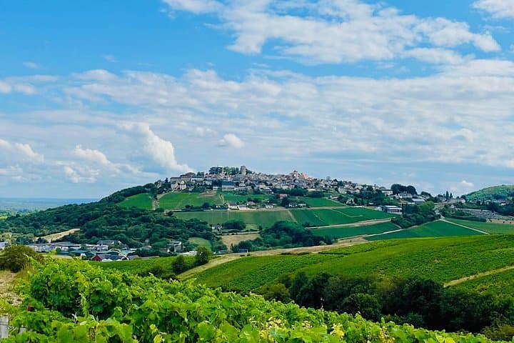 Paris Wine Day Tours exclusive wine tour in the Sancerre area — photo 1