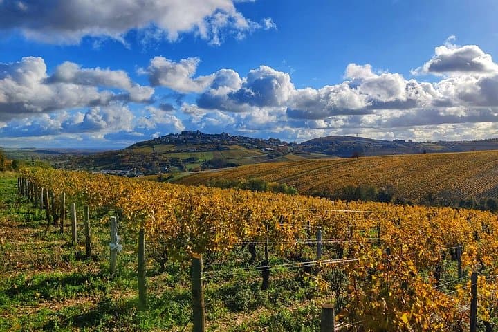 Paris Wine Day Tours exclusive wine tour in the Sancerre area — photo 2