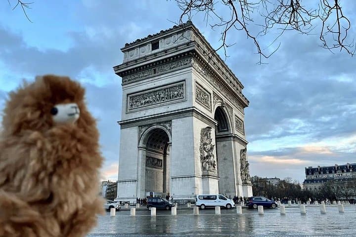Paris day city tour by Car — photo 1